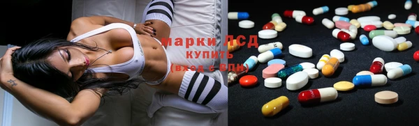 спайс Баксан