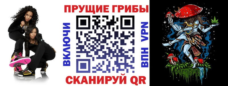 Купить  Богородск  Галлюциногенные грибы прущие грибы 